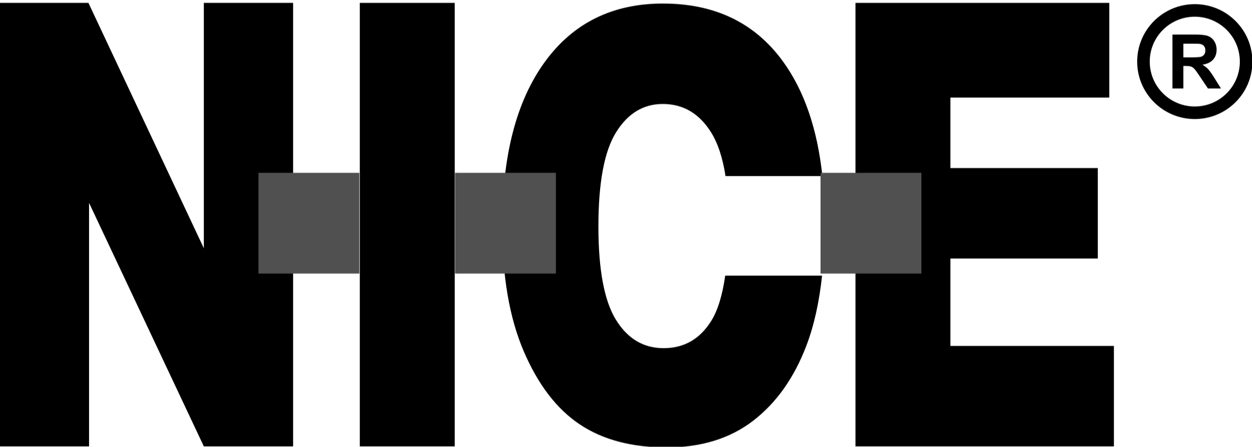 Nice_Logo